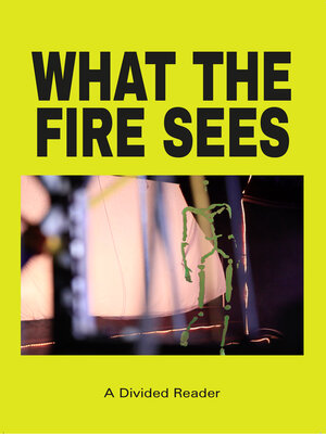 cover image of What the Fire Sees
